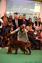 Crufts2011_2 079